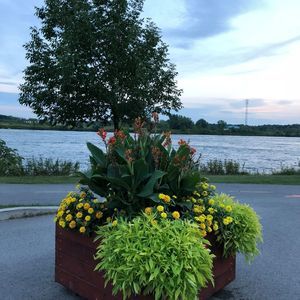 Meet your Posher, Mona